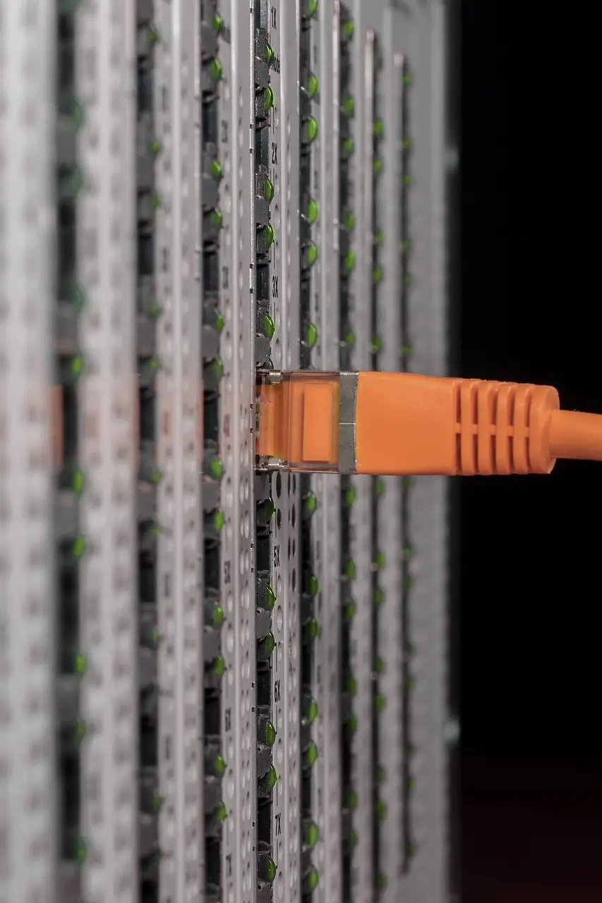 it, server, server cabinet, network, cable, patch cord, network cable, rj45, data processing, lan, network plug, connection, patch, macro, hardware, edp, ethernet, computer, company, network connection, nsa, wiretapping, server, server, server, server, server, network, network, lan, ethernet